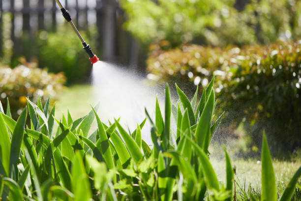 24/7 Emergency Mosquito Control experts in Covedale, OH