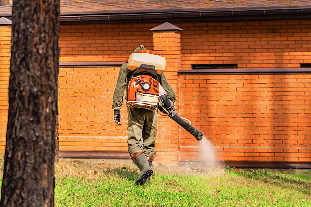 Trusted Emergency Pest Control service in Covedale, OH - Nex Pest Control